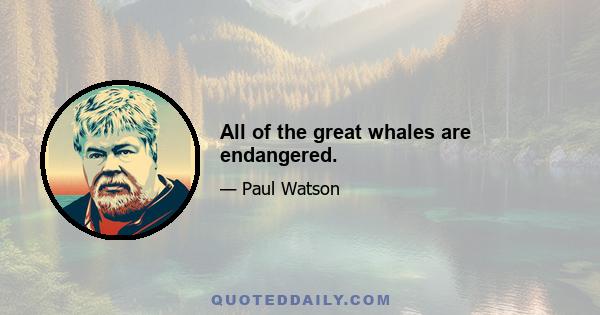 All of the great whales are endangered.