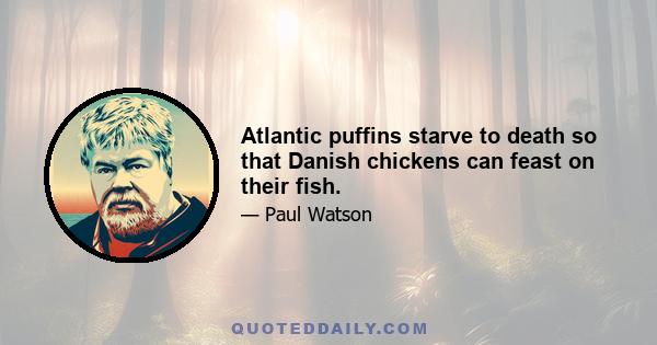 Atlantic puffins starve to death so that Danish chickens can feast on their fish.