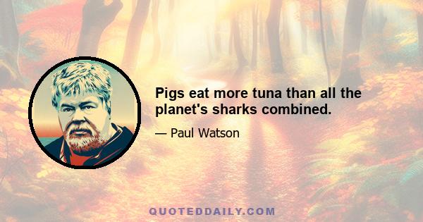 Pigs eat more tuna than all the planet's sharks combined.