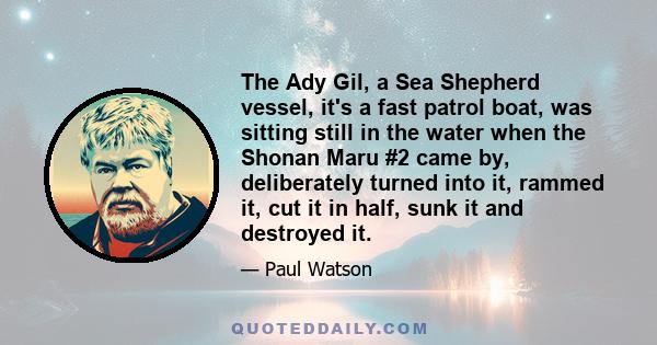 The Ady Gil, a Sea Shepherd vessel, it's a fast patrol boat, was sitting still in the water when the Shonan Maru #2 came by, deliberately turned into it, rammed it, cut it in half, sunk it and destroyed it.