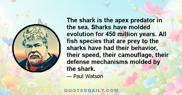 The shark is the apex predator in the sea. Sharks have molded evolution for 450 million years. All fish species that are prey to the sharks have had their behavior, their speed, their camouflage, their defense