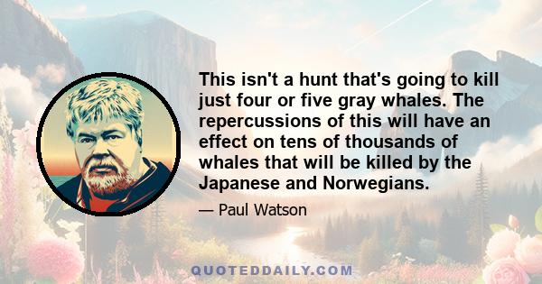 This isn't a hunt that's going to kill just four or five gray whales. The repercussions of this will have an effect on tens of thousands of whales that will be killed by the Japanese and Norwegians.