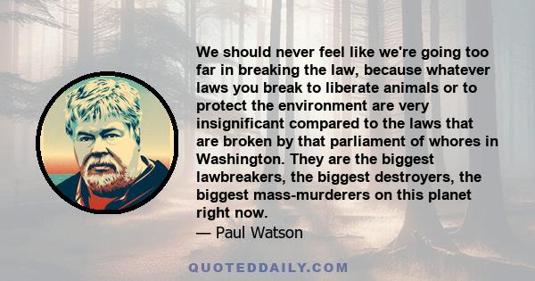 We should never feel like we're going too far in breaking the law, because whatever laws you break to liberate animals or to protect the environment are very insignificant compared to the laws that are broken by that