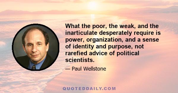 What the poor, the weak, and the inarticulate desperately require is power, organization, and a sense of identity and purpose, not rarefied advice of political scientists.