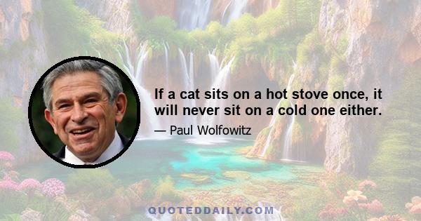 If a cat sits on a hot stove once, it will never sit on a cold one either.