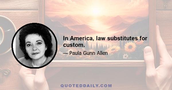 In America, law substitutes for custom.