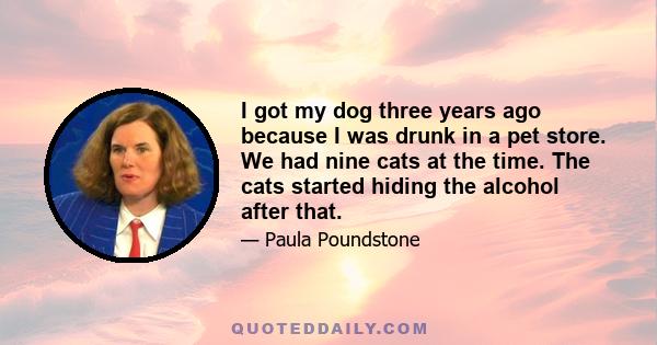 I got my dog three years ago because I was drunk in a pet store. We had nine cats at the time. The cats started hiding the alcohol after that.