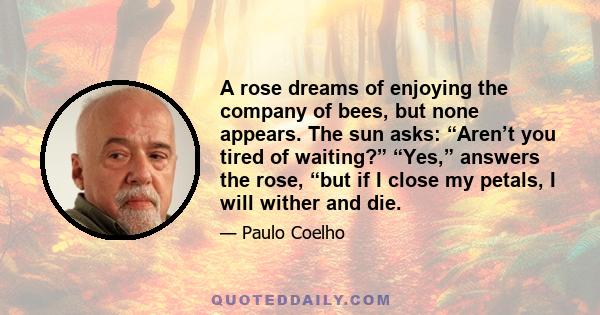 A rose dreams of enjoying the company of bees, but none appears. The sun asks: “Aren’t you tired of waiting?” “Yes,” answers the rose, “but if I close my petals, I will wither and die.