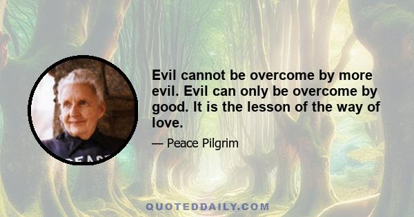 Evil cannot be overcome by more evil. Evil can only be overcome by good. It is the lesson of the way of love.