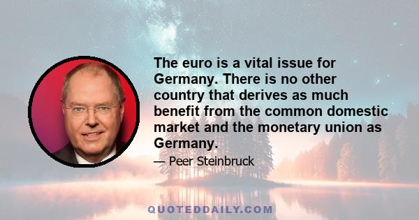 The euro is a vital issue for Germany. There is no other country that derives as much benefit from the common domestic market and the monetary union as Germany.