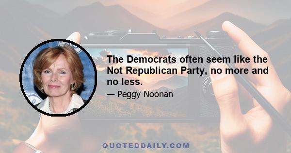 The Democrats often seem like the Not Republican Party, no more and no less.