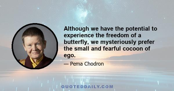 Although we have the potential to experience the freedom of a butterfly, we mysteriously prefer the small and fearful cocoon of ego.