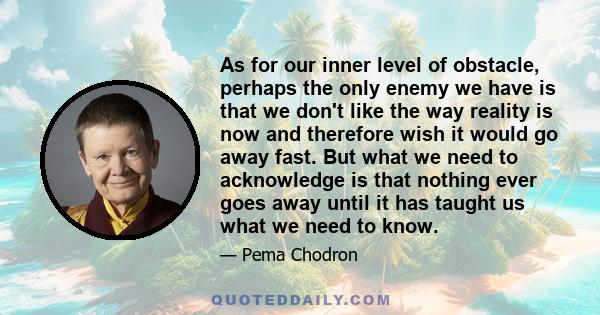 As for our inner level of obstacle, perhaps the only enemy we have is that we don't like the way reality is now and therefore wish it would go away fast. But what we need to acknowledge is that nothing ever goes away