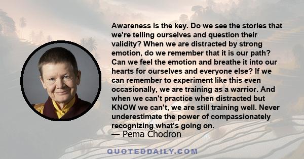 Awareness is the key. Do we see the stories that we're telling ourselves and question their validity? When we are distracted by strong emotion, do we remember that it is our path? Can we feel the emotion and breathe it