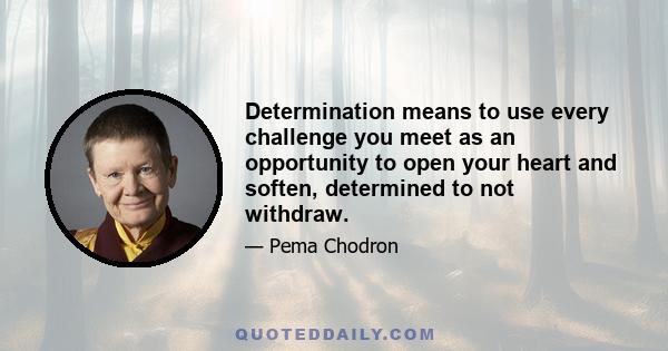 Determination means to use every challenge you meet as an opportunity to open your heart and soften, determined to not withdraw.