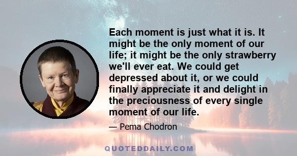 Each moment is just what it is. It might be the only moment of our life; it might be the only strawberry we'll ever eat. We could get depressed about it, or we could finally appreciate it and delight in the preciousness 