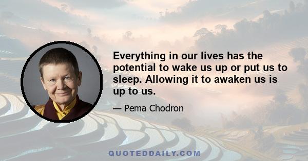 Everything in our lives has the potential to wake us up or put us to sleep. Allowing it to awaken us is up to us.