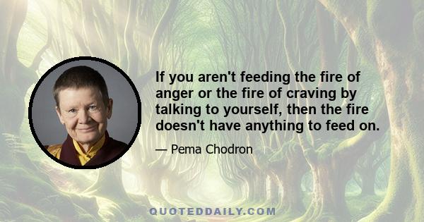 If you aren't feeding the fire of anger or the fire of craving by talking to yourself, then the fire doesn't have anything to feed on.