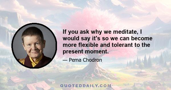 If you ask why we meditate, I would say it's so we can become more flexible and tolerant to the present moment.