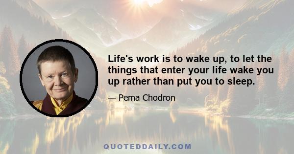 Life's work is to wake up, to let the things that enter your life wake you up rather than put you to sleep.