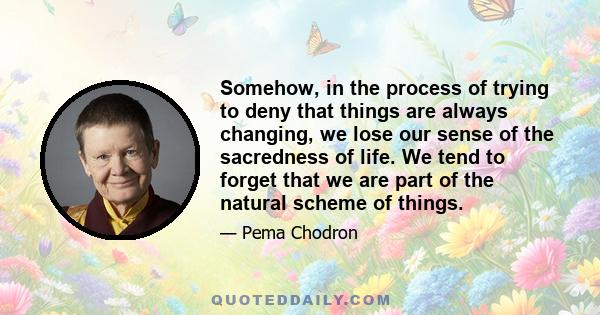 Somehow, in the process of trying to deny that things are always changing, we lose our sense of the sacredness of life. We tend to forget that we are part of the natural scheme of things.