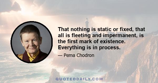 That nothing is static or fixed, that all is fleeting and impermanent, is the first mark of existence. Everything is in process.