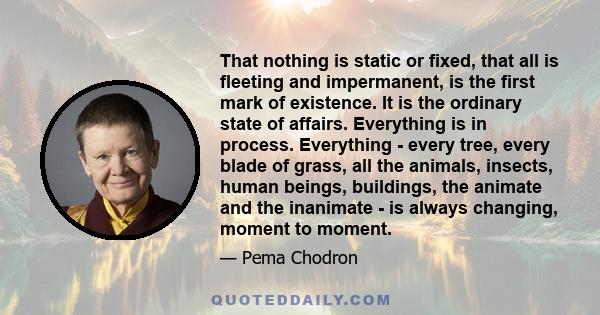 That nothing is static or fixed, that all is fleeting and impermanent, is the first mark of existence. It is the ordinary state of affairs. Everything is in process. Everything - every tree, every blade of grass, all