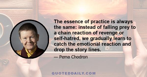 The essence of practice is always the same: instead of falling prey to a chain reaction of revenge or self-hatred, we gradually learn to catch the emotional reaction and drop the story lines.