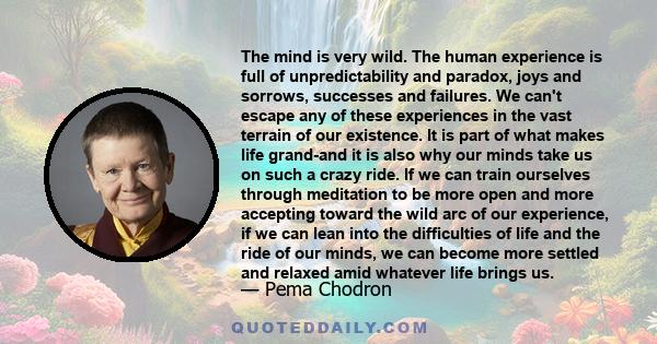 The mind is very wild. The human experience is full of unpredictability and paradox, joys and sorrows, successes and failures. We can't escape any of these experiences in the vast terrain of our existence. It is part of 