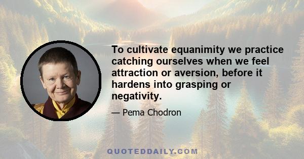 To cultivate equanimity we practice catching ourselves when we feel attraction or aversion, before it hardens into grasping or negativity.