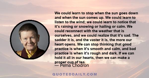 We could learn to stop when the sun goes down and when the sun comes up. We could learn to listen to the wind; we could learn to notice that it's raining or snowing or hailing or calm. We could reconnect with the