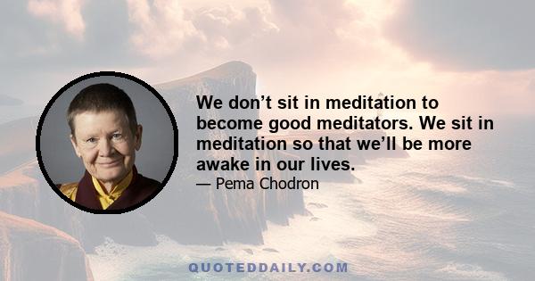 We don’t sit in meditation to become good meditators. We sit in meditation so that we’ll be more awake in our lives.