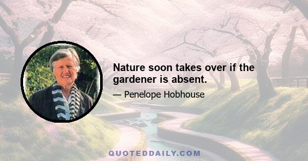 Nature soon takes over if the gardener is absent.