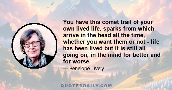 You have this comet trail of your own lived life, sparks from which arrive in the head all the time, whether you want them or not - life has been lived but it is still all going on, in the mind for better and for worse.