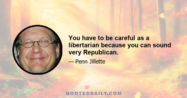 You have to be careful as a libertarian because you can sound very Republican.