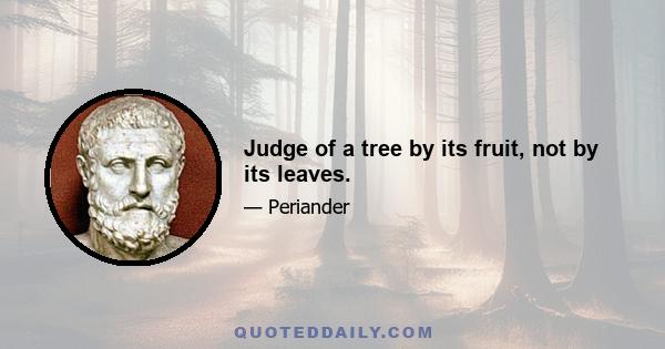 Judge of a tree by its fruit, not by its leaves.