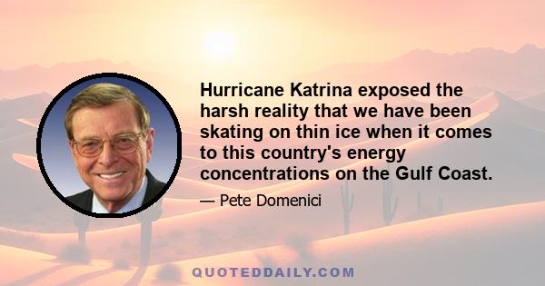 Hurricane Katrina exposed the harsh reality that we have been skating on thin ice when it comes to this country's energy concentrations on the Gulf Coast.