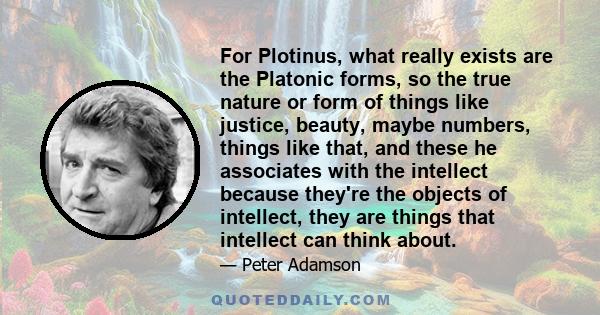 For Plotinus, what really exists are the Platonic forms, so the true nature or form of things like justice, beauty, maybe numbers, things like that, and these he associates with the intellect because they're the objects 