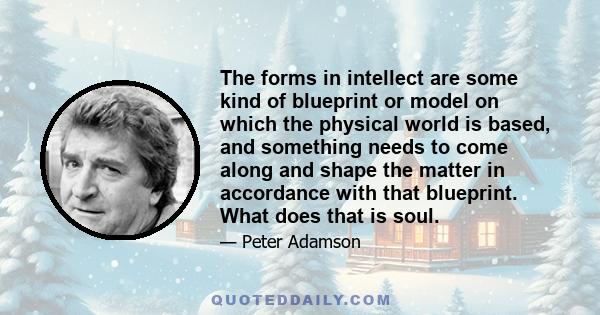 The forms in intellect are some kind of blueprint or model on which the physical world is based, and something needs to come along and shape the matter in accordance with that blueprint. What does that is soul.