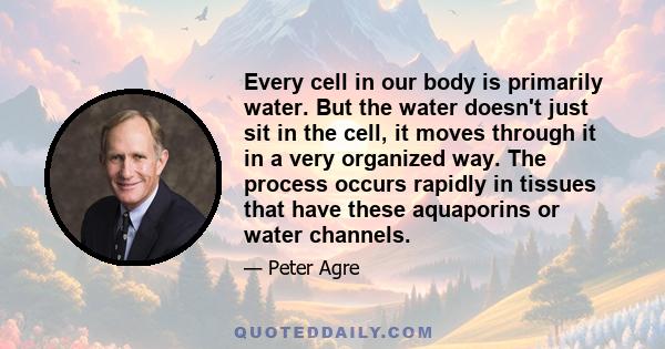 Every cell in our body is primarily water. But the water doesn't just sit in the cell, it moves through it in a very organized way. The process occurs rapidly in tissues that have these aquaporins or water channels.