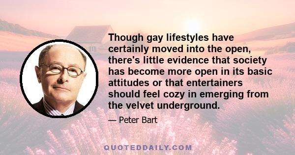 Though gay lifestyles have certainly moved into the open, there's little evidence that society has become more open in its basic attitudes or that entertainers should feel cozy in emerging from the velvet underground.