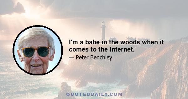 I'm a babe in the woods when it comes to the Internet.