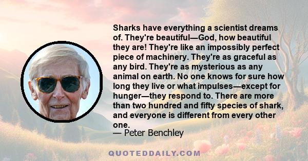 Sharks have everything a scientist dreams of. They're beautiful―God, how beautiful they are! They're like an impossibly perfect piece of machinery. They're as graceful as any bird. They're as mysterious as any animal on 