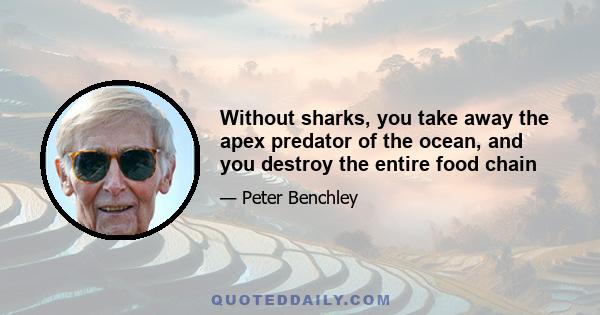 Without sharks, you take away the apex predator of the ocean, and you destroy the entire food chain