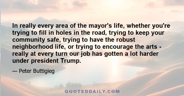 In really every area of the mayor's life, whether you're trying to fill in holes in the road, trying to keep your community safe, trying to have the robust neighborhood life, or trying to encourage the arts - really at