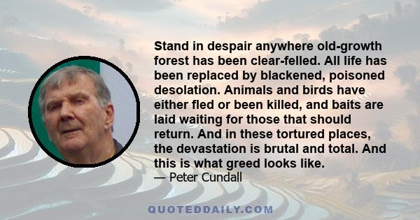 Stand in despair anywhere old-growth forest has been clear-felled. All life has been replaced by blackened, poisoned desolation. Animals and birds have either fled or been killed, and baits are laid waiting for those