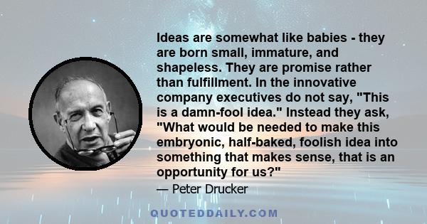 Ideas are somewhat like babies - they are born small, immature, and shapeless. They are promise rather than fulfillment. In the innovative company executives do not say, This is a damn-fool idea. Instead they ask, What