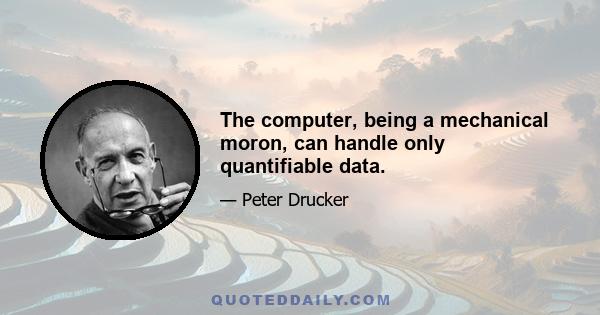 The computer, being a mechanical moron, can handle only quantifiable data.