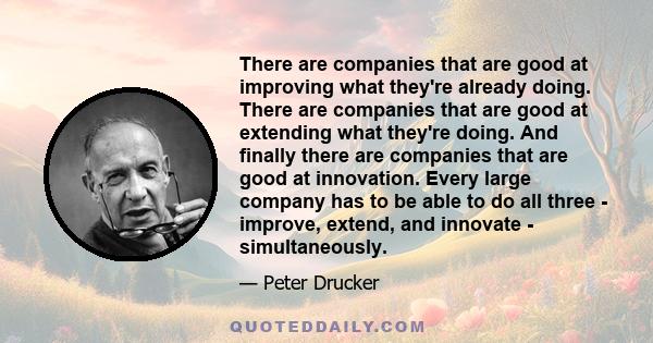 There are companies that are good at improving what they're already doing. There are companies that are good at extending what they're doing. And finally there are companies that are good at innovation. Every large