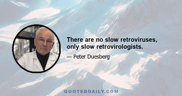 There are no slow retroviruses, only slow retrovirologists.